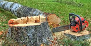 Best Tree Disease Treatment  in Atmore, AL