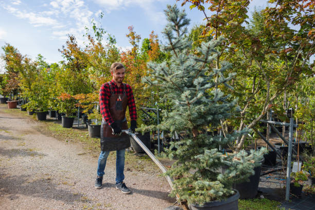 Best Tree Health Inspection  in Atmore, AL